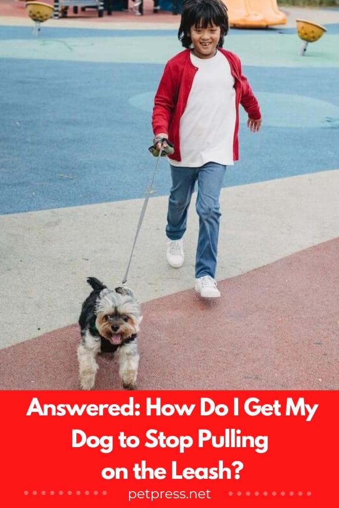 Answered How Do I Get My Dog to Stop Pulling on the Leash?