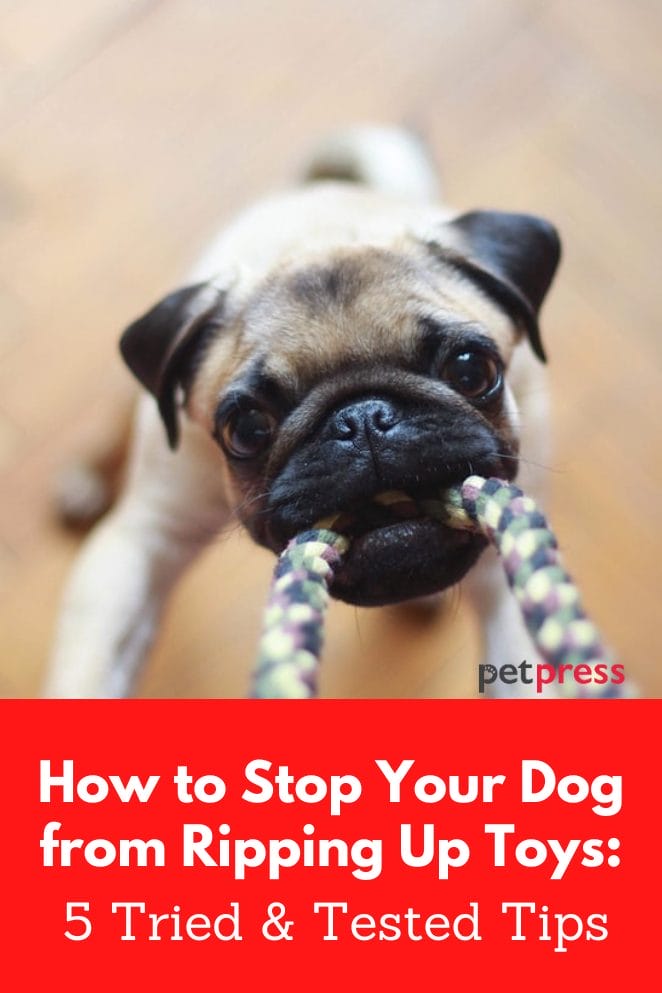 How to stop your dog from ripping up toys