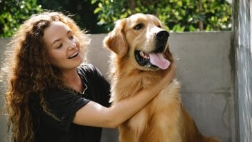 Most loyal dog breeds