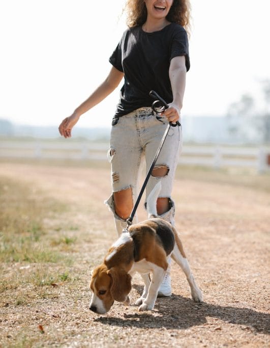 Answered Why Do Dogs Sniff the Ground?