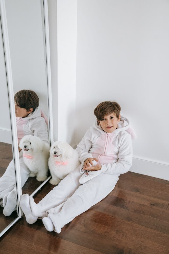Can dogs understand mirrors