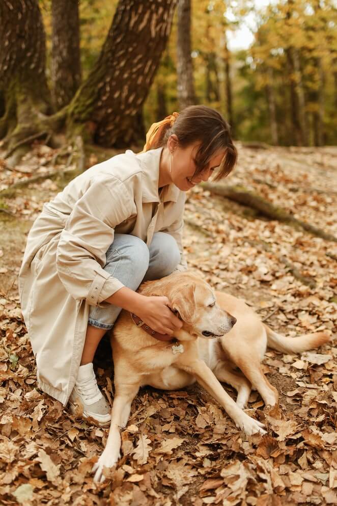 How to get burrs out of dog fur