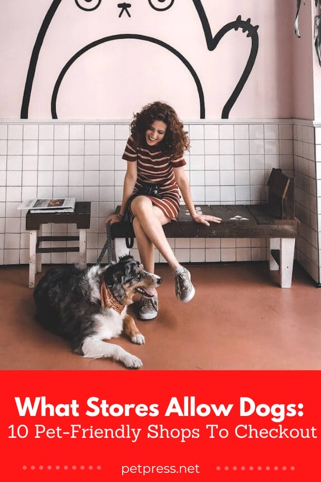 What stores allow dogs