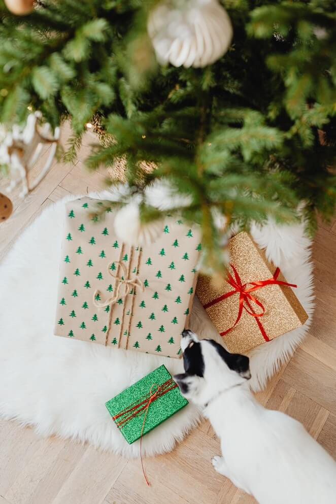 How to keep your dog away from the Christmas Tree