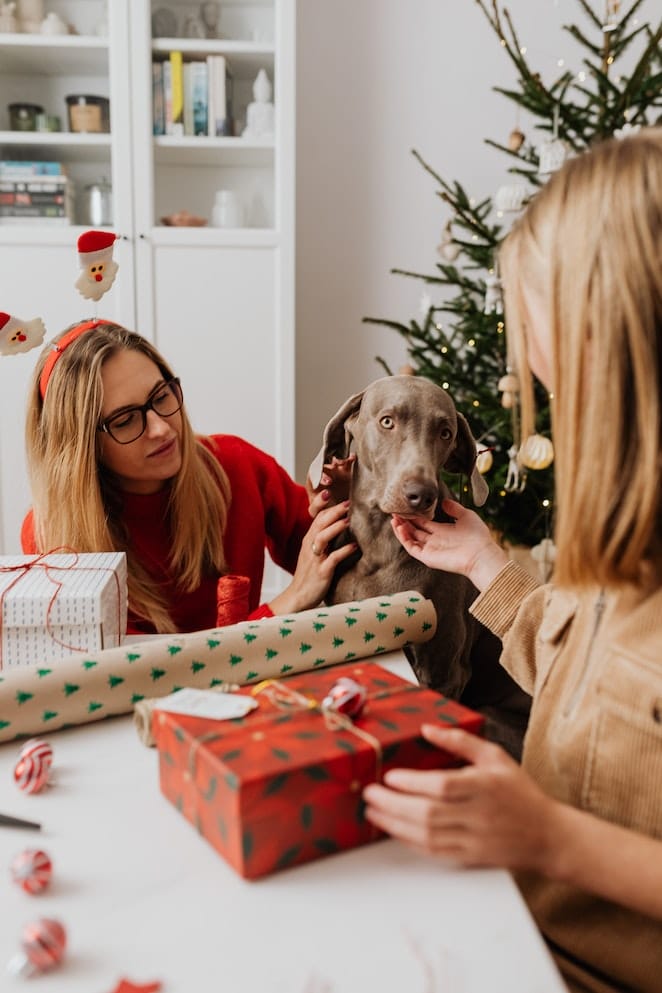 How to keep your dog safe at Christmas