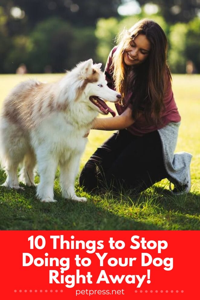 Things to stop doing to your dog