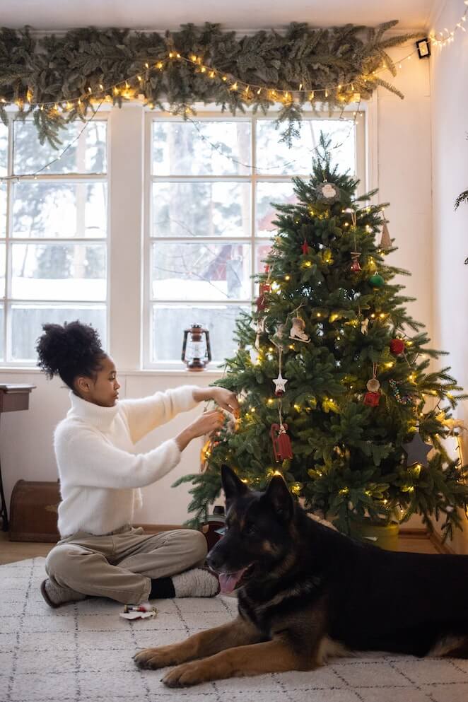 Why dogs love Christmas