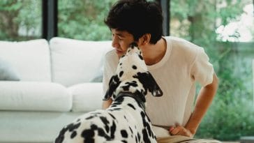 how to get rid of stinky dog breath