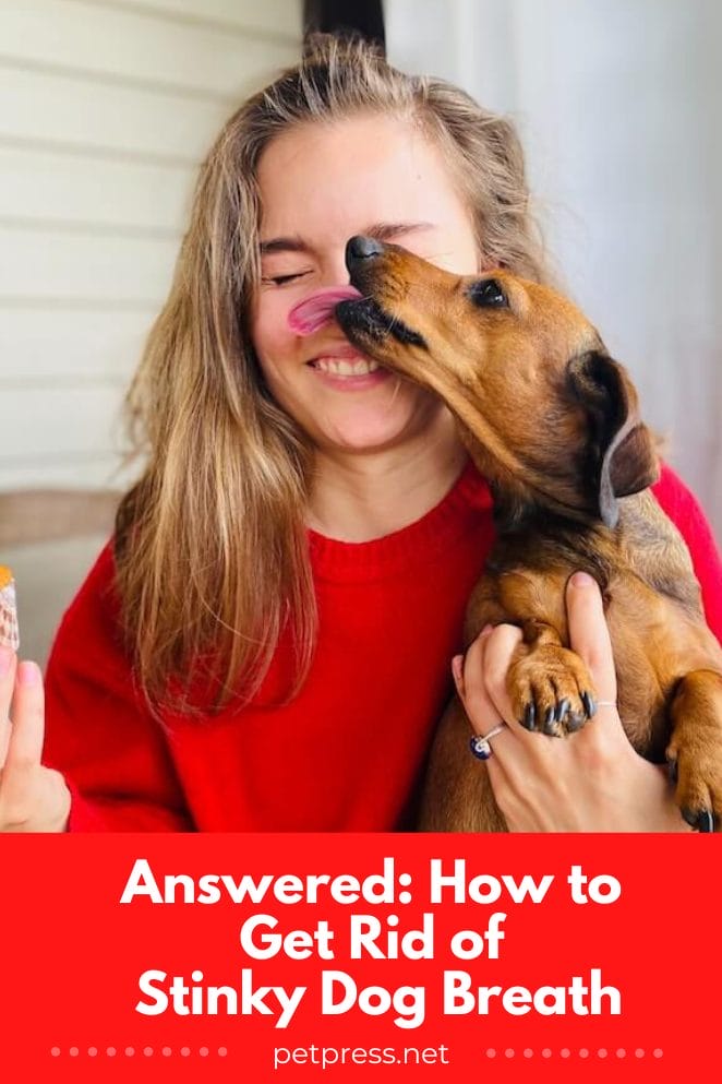 Answered How to Get Rid of Stinky Dog Breath