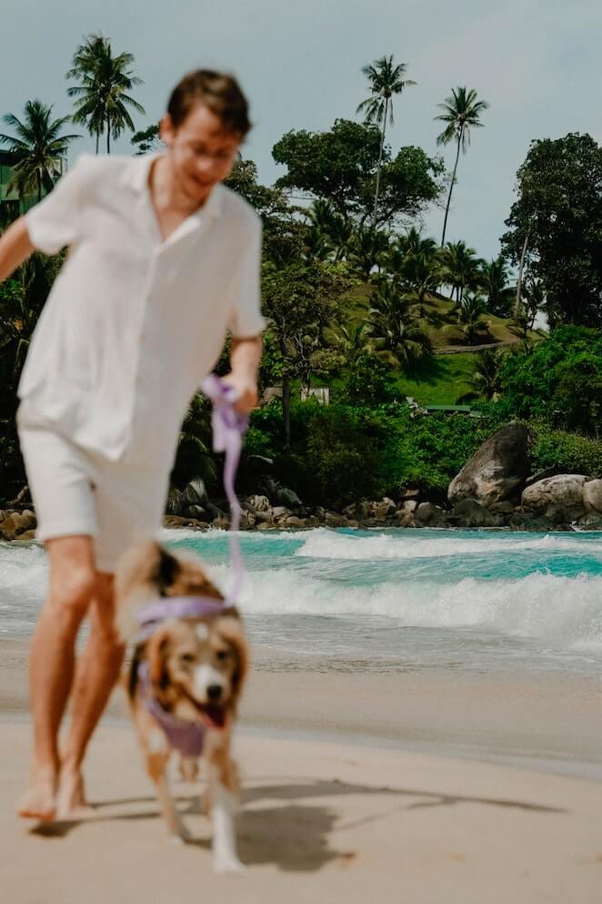 Taking Dog to Beach 10 Tips Every Dog Parent Needs to Know