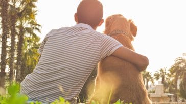 Why do dogs get separation anxiety