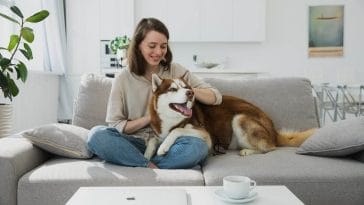 Why does your blood pressure go down when petting a dog