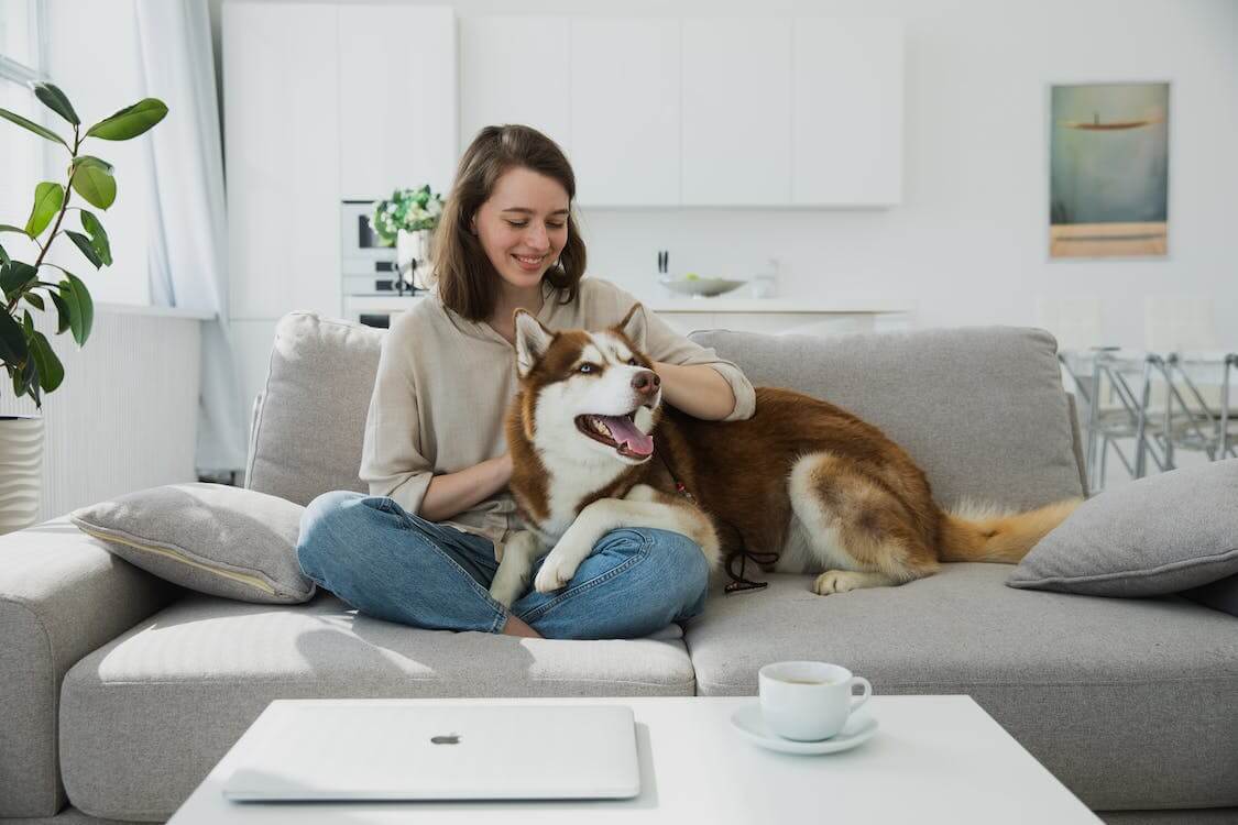 why-does-your-blood-pressure-go-down-when-petting-a-dog