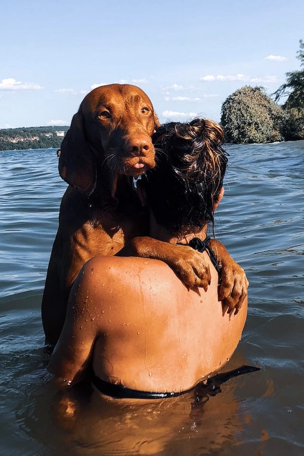 Answered Should I Wash My Dog After Swimming in The Ocean?