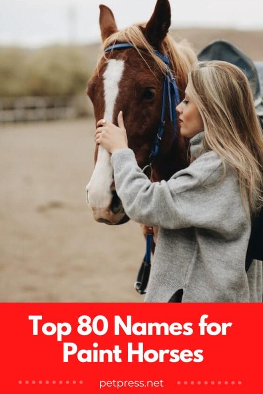Top 80 Names for Paint Horses