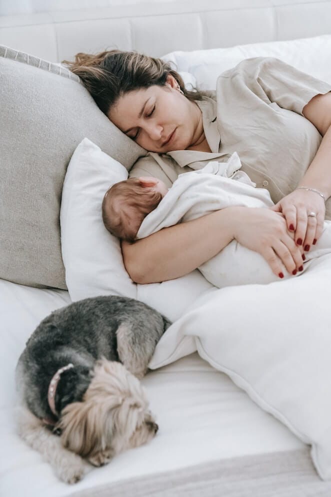 Dog Parenting Guide Should I Let My Dog Sleep in my Bed?