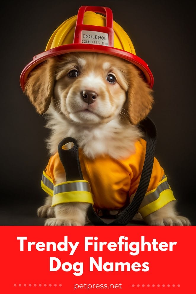 top-45-trendy-firefighter-dog-names