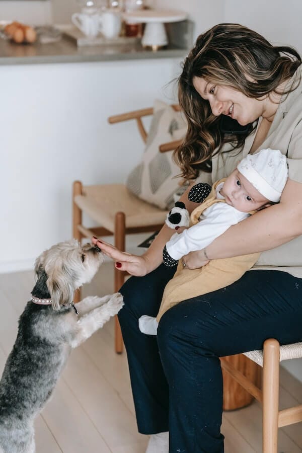 Introducing Your Dog to Your Newborn Baby The Do's and Don'ts