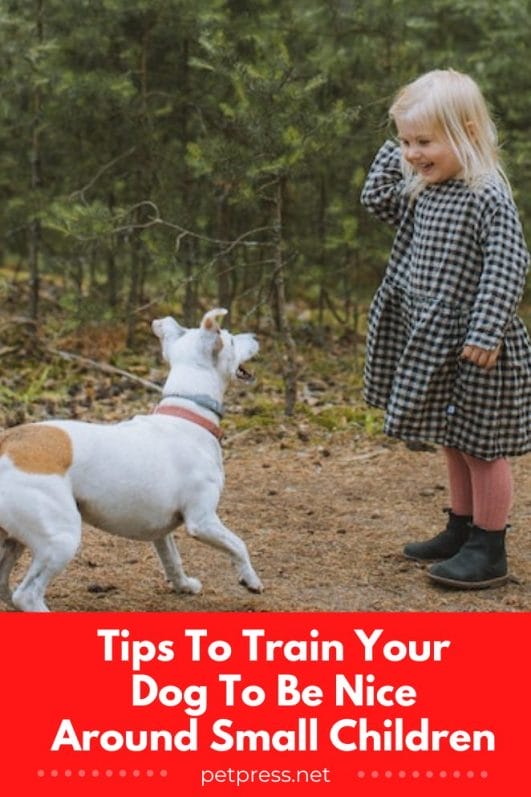 10 Tips To Train Your Dog To Be Nice Around Small Children