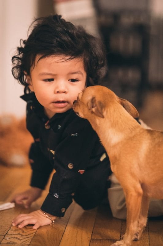 10 Tips To Train Your Dog To Be Nice Around Small Children