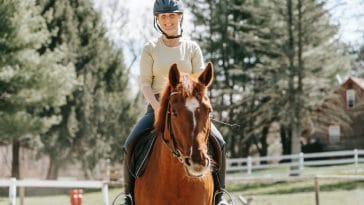 Mistakes people make when buying a horse