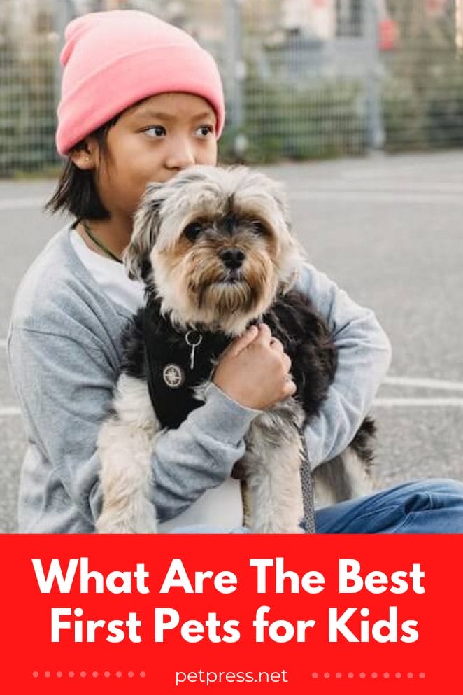 What Are The Best First Pets for Kids An AgeWise Guide
