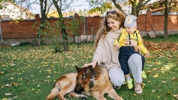 What are the best first pets for toddlers