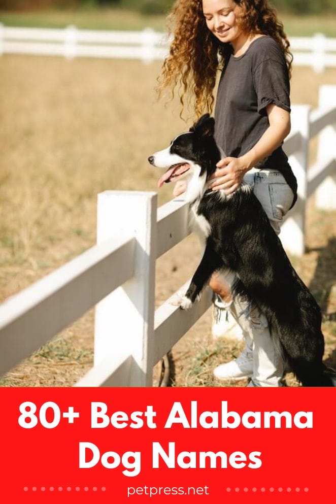 80+ Best Alabama Dog Names