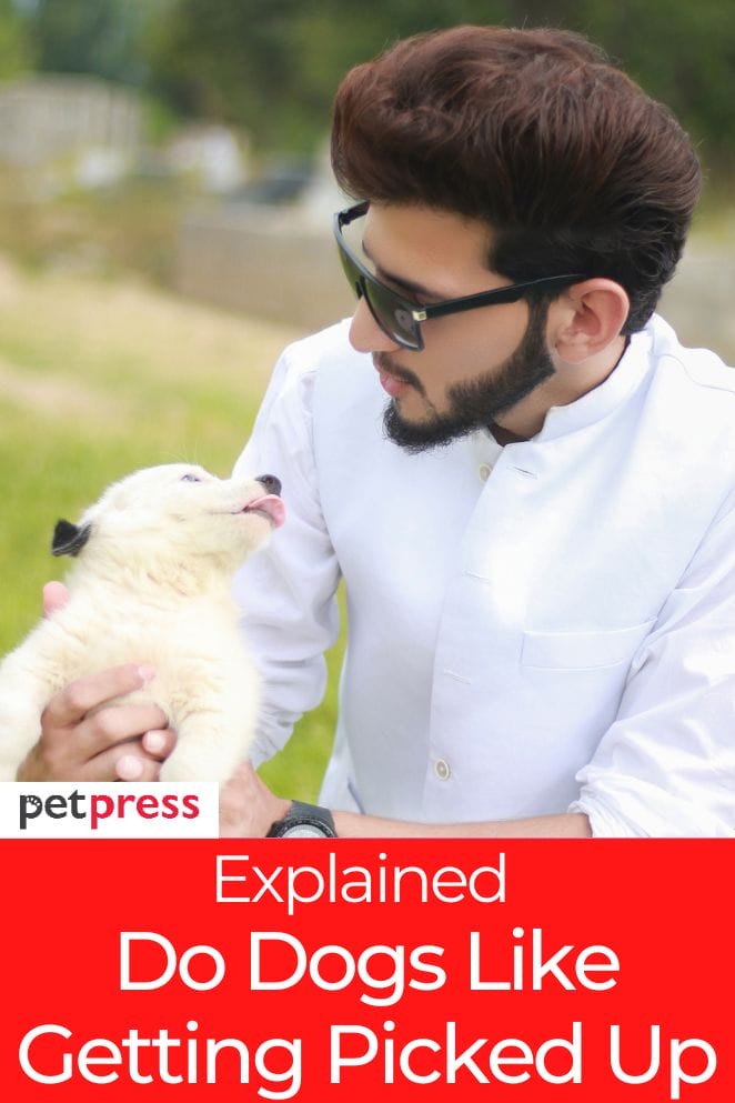 Do Dogs Like Getting Picked Up? Understanding Dog's Perspective