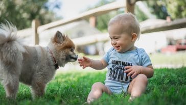 What are the best first pets for toddlers