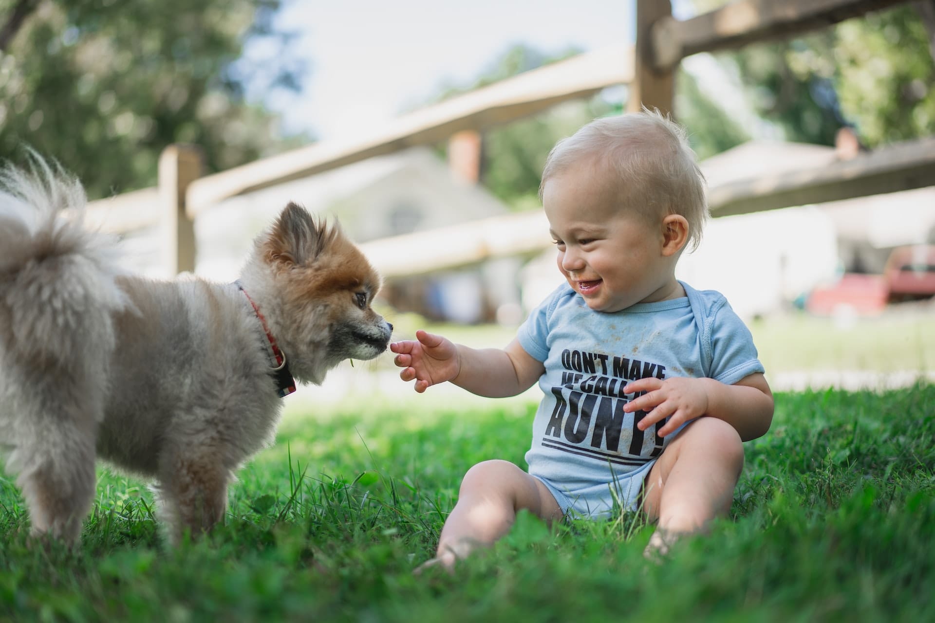 What are the best first pets for toddlers