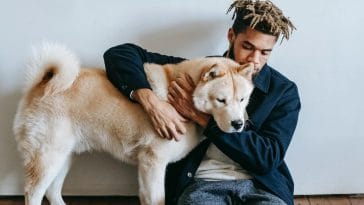 How to get a dog to stop being afraid of people