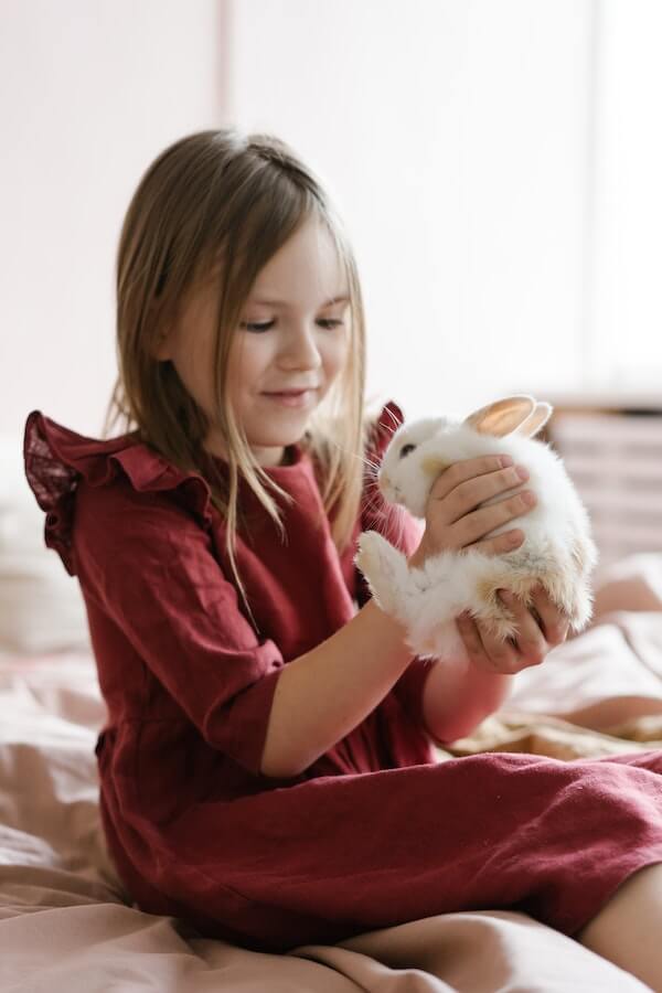The Ultimate Guide to Picking Up Your Pet Rabbit Like a Pro!