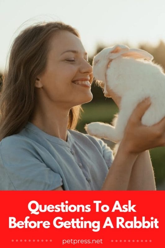 10 Questions to Ask Before You Get a Rabbit From The Breeder