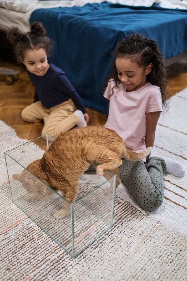 5 Essential Tips How Often Should You Change A Cat's Litter