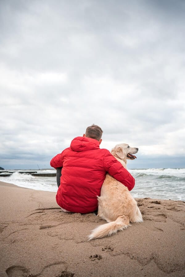 The Ultimate Guide to Traveling With a Nervous Dog