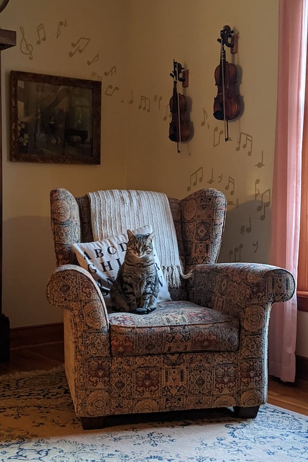 Why Is My Cat Peeing Everywhere? 4 Reasons & Tips To Prevent It