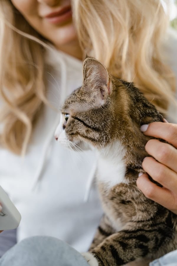Why Does My Cat Bite My Hair? 7 Reasons Behind This Behavior