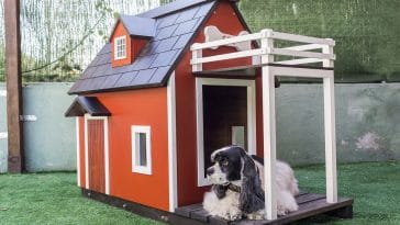 diy dog kennel