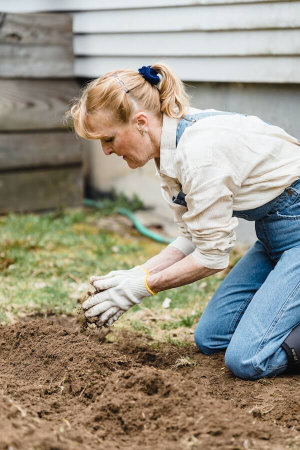 The Scoop on Poop Is Dog Poop Good Fertilizer?