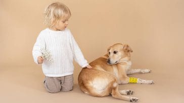 Why does my dog bite my child