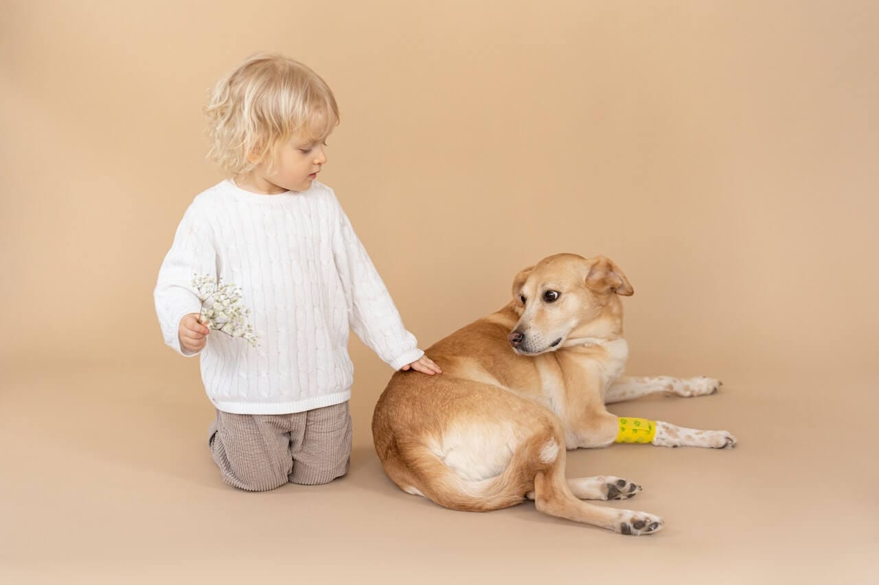 Why Your Dog May Bite Your Child and What You Can Do About It