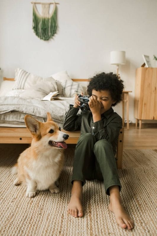 Why Your Dog May Bite Your Child and What You Can Do About It