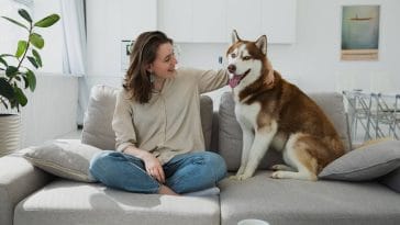 dog friendship quotes