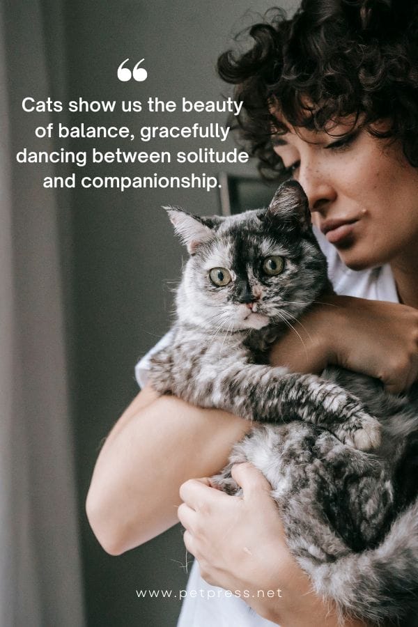 50 Inspirational Cat Quotes to Celebrate the Purr-fect Feline