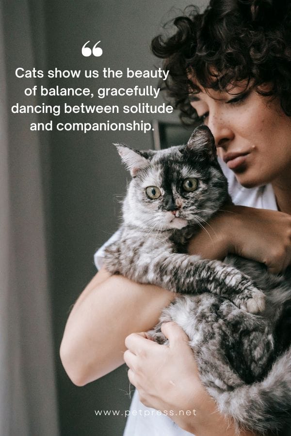 Cats show us the beauty of balance, gracefully dancing between solitude and companionship