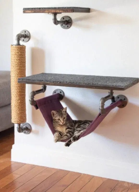 6 Purrfectly Adorable Examples Of Cat Climbing Walls We Love