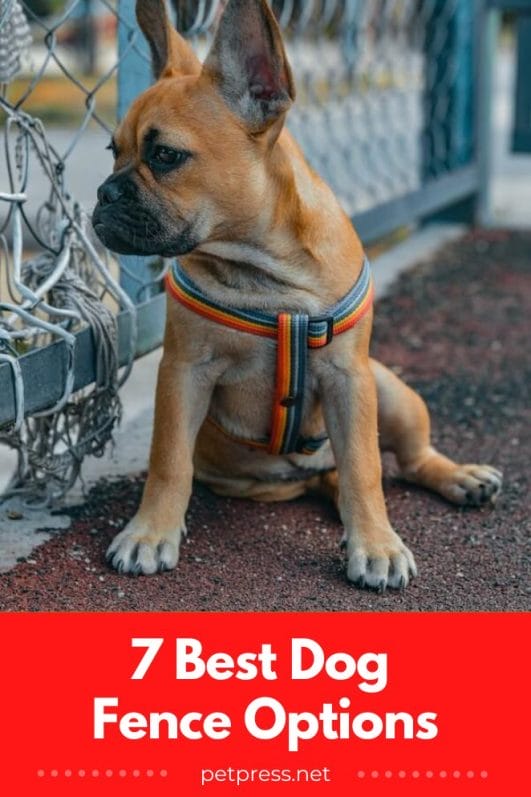 7 Best Dog Fences to Keep Your Pup Safe at Home