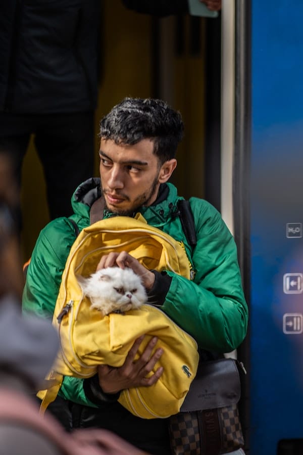 Answered Do Cats Like The Cat Bubble Backpack?