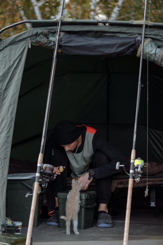 Complete Guides Tips on How to Take Your Cat Camping